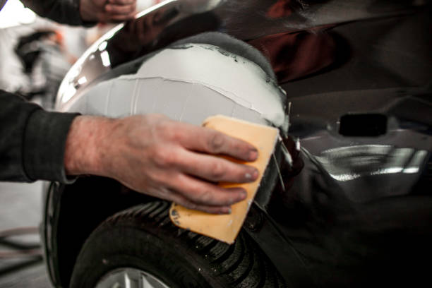 Best Mold Damage Restoration  in Paoli, IN