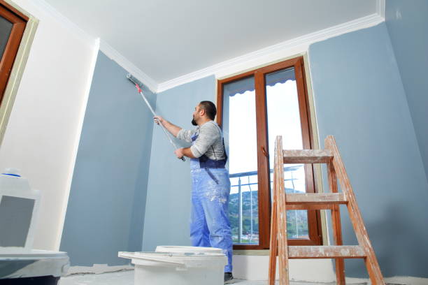 Best Emergency Mold Remediation  in Paoli, IN