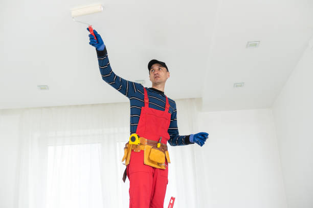 Best Crawl Space Mold Remediation  in Paoli, IN