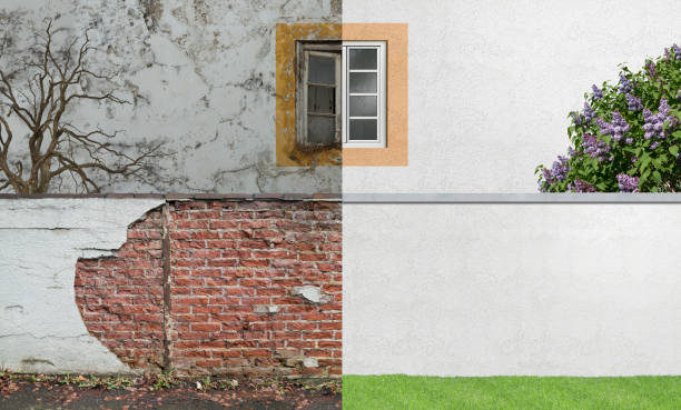 Best Basement Mold Removal  in Paoli, IN