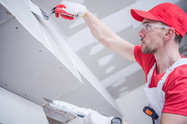Best Attic Mold Removal  in Paoli, IN